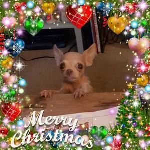 Meet your Posher, Roberta